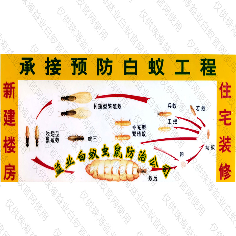 橫琴專業(yè)的驅(qū)蛇價格